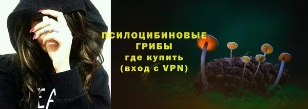 спиды Михайлов