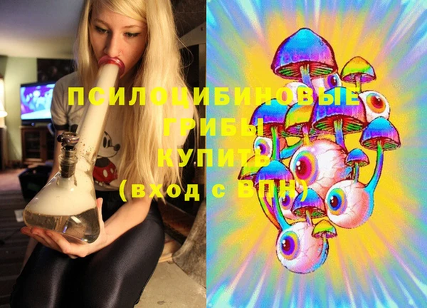 а пвп мука Надым