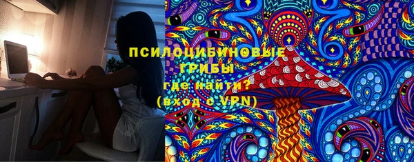 спиды Михайлов