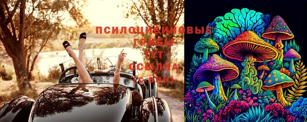 а пвп мука Надым